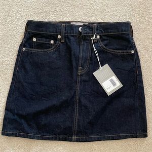 Everlane Denim Skirt